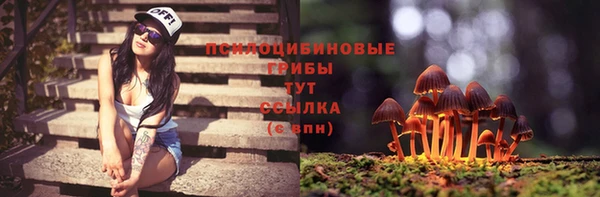 соль ск Зеленокумск