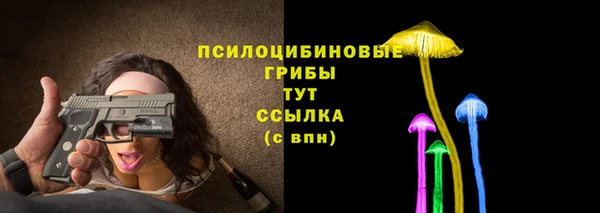 соль ск Зеленокумск