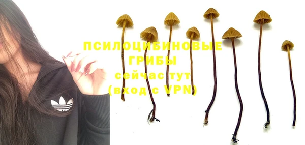 крисы Зеленодольск