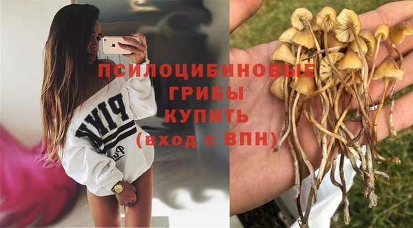 хмурый Зерноград