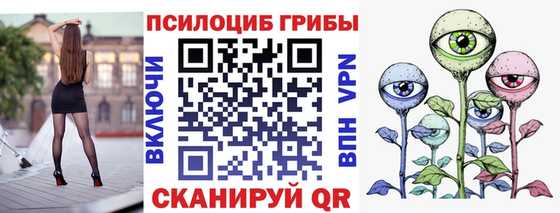 Псилоцибиновые грибы мицелий  Купить  Удачный 