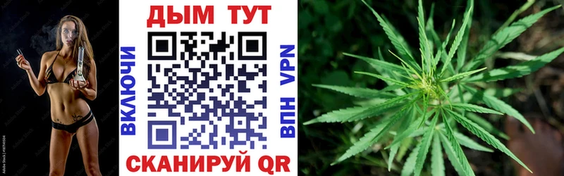 Купить  Удачный  Бошки Шишки конопля 